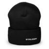 cuffed-beanie-black-front-66f6de085e677.jpg